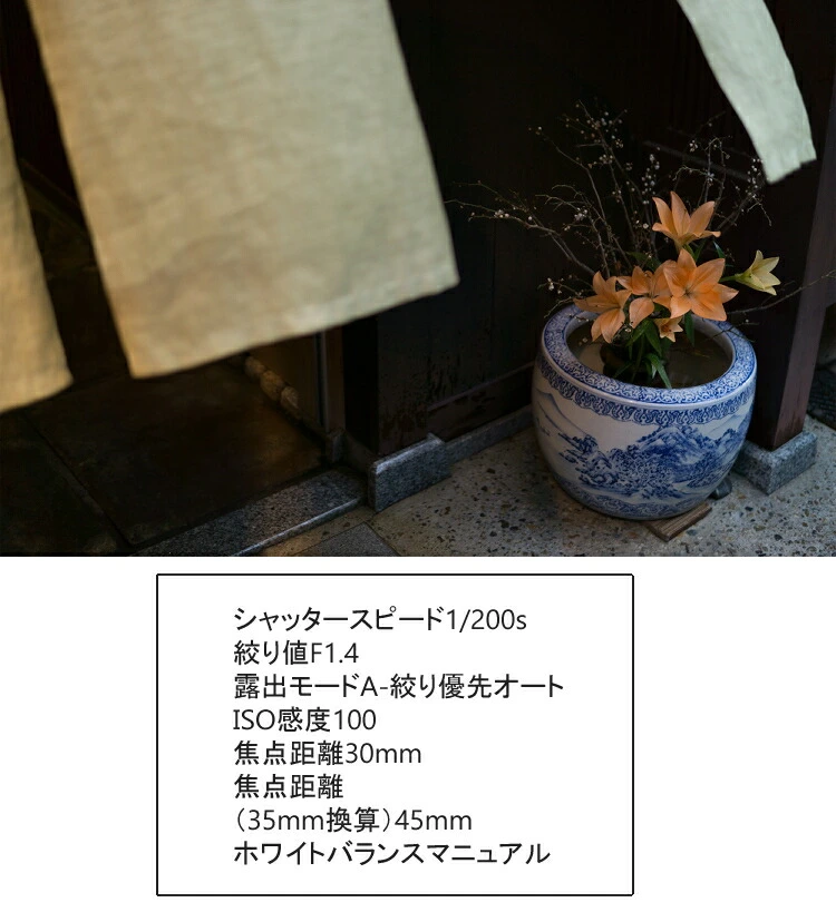 商品説明画像