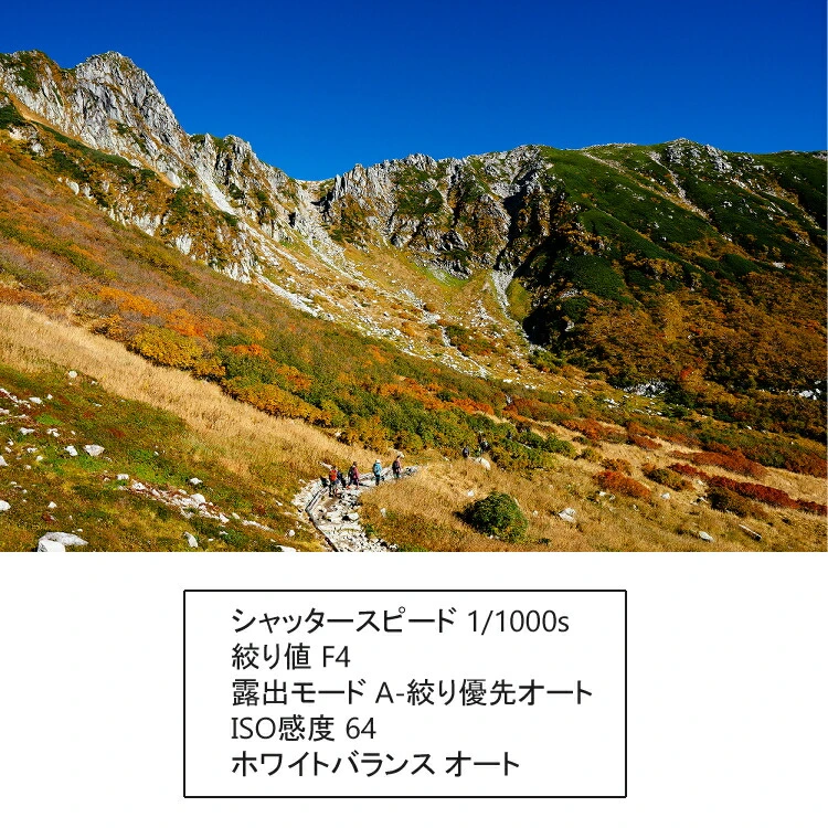 レンズ】シグマ 16mm F1.4 DC DN（C） ソニーEマウント用 | ホームショッピング