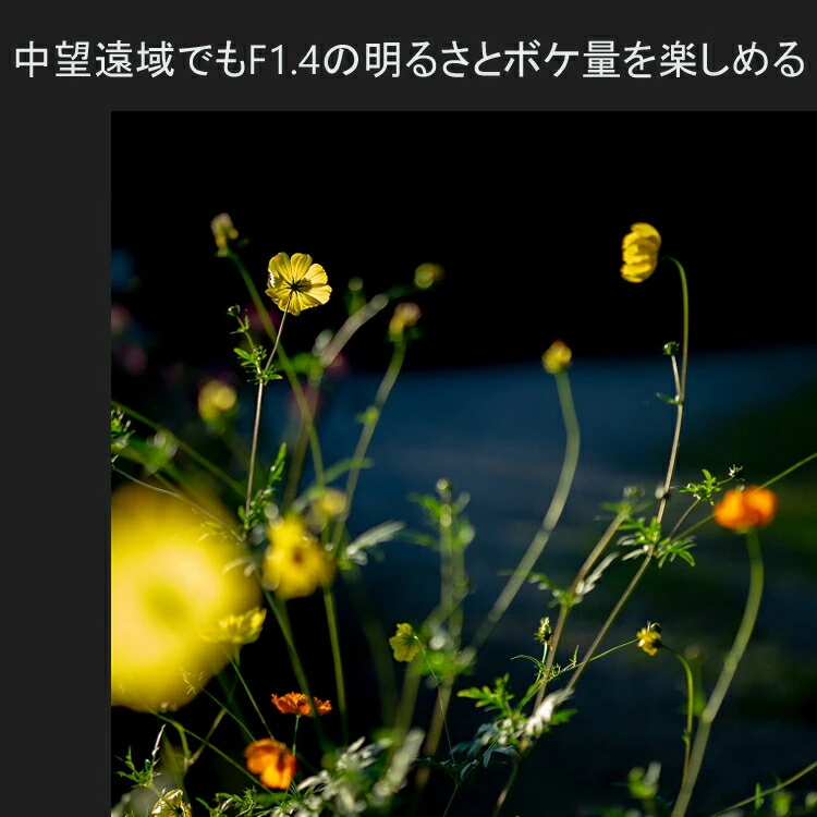 商品説明画像