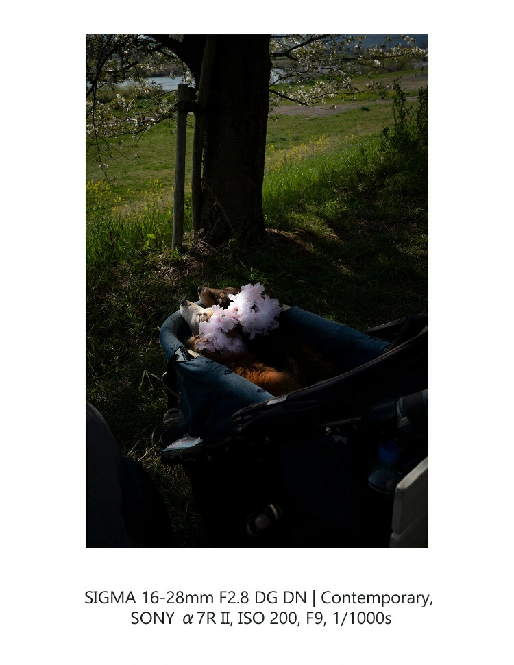 商品説明画像