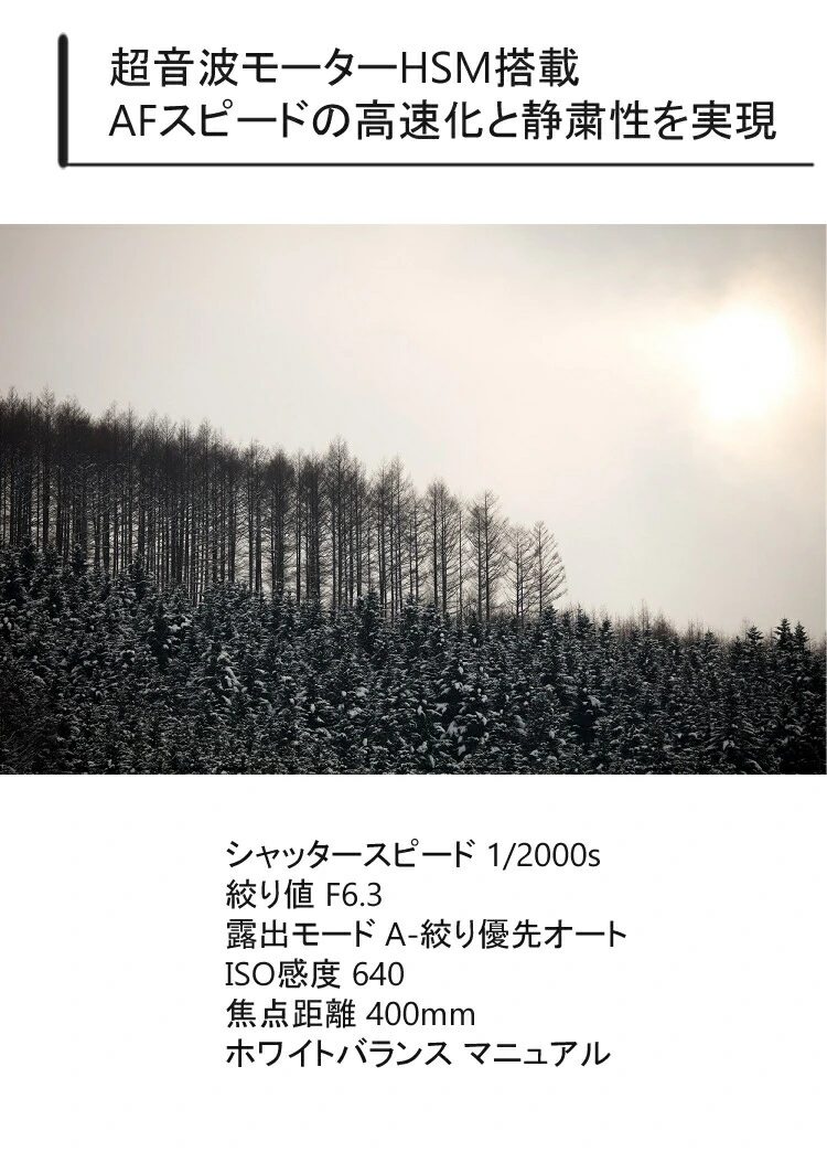 商品説明画像