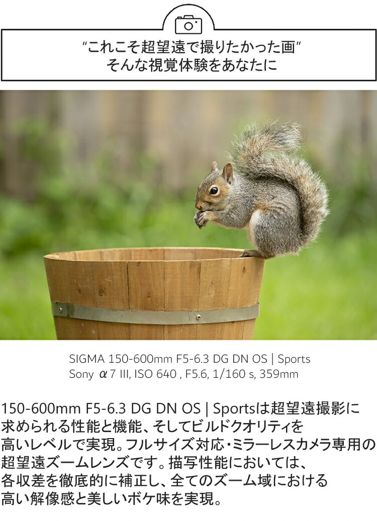 商品説明画像