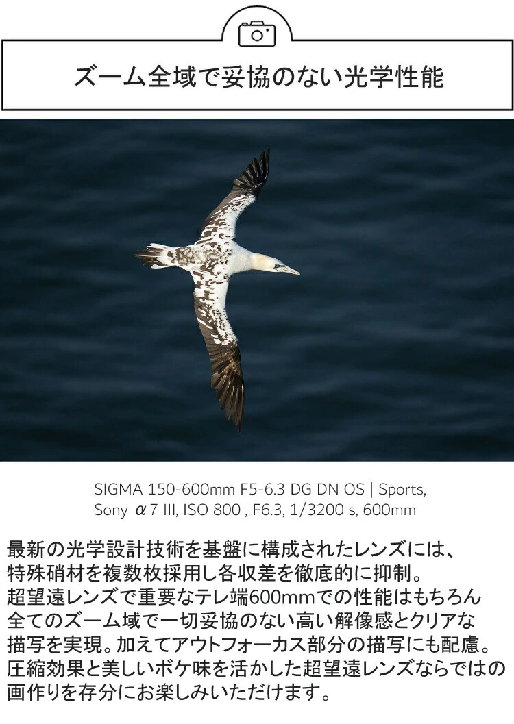 商品説明画像
