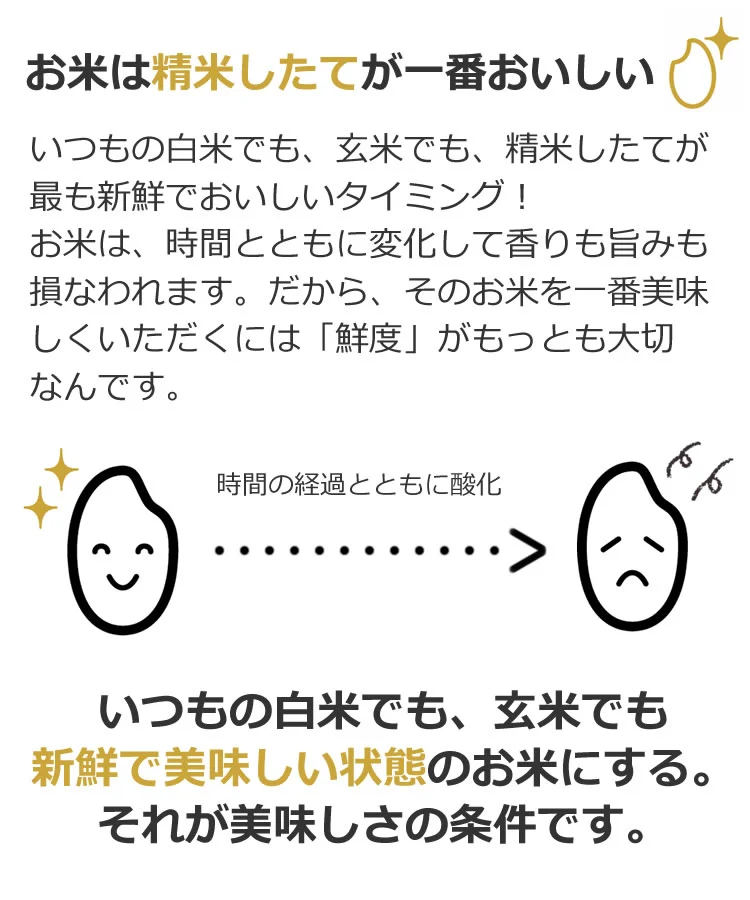商品説明画像