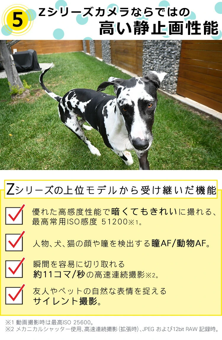 商品説明画像