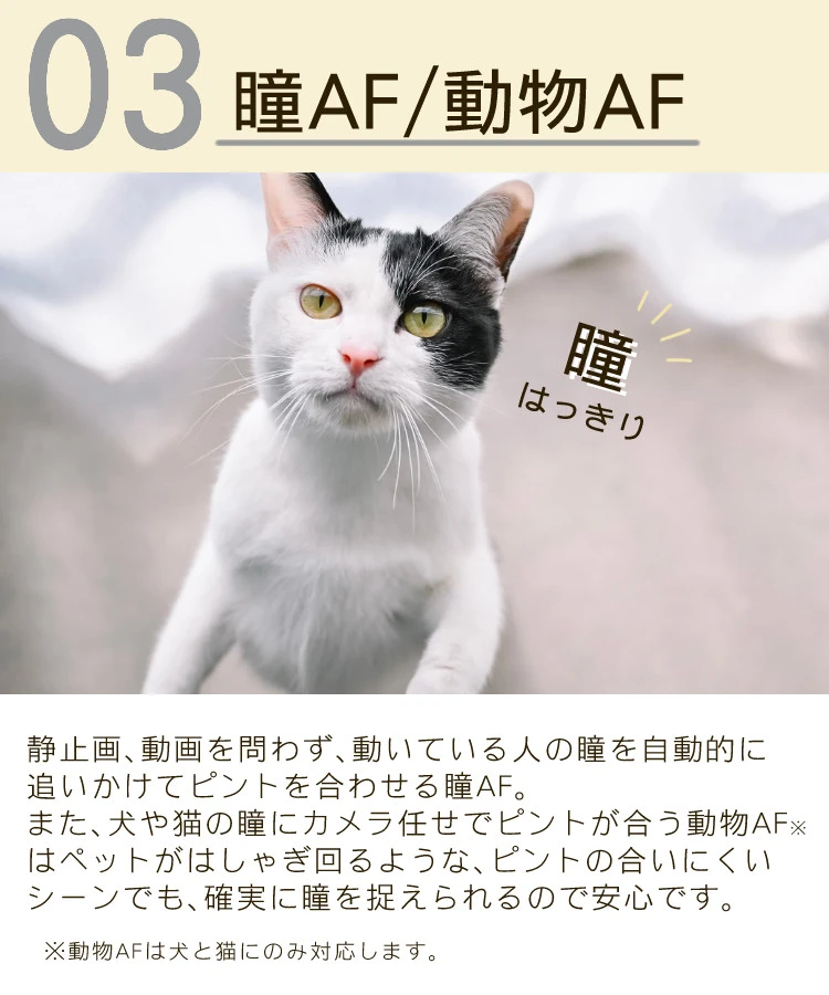 商品説明画像