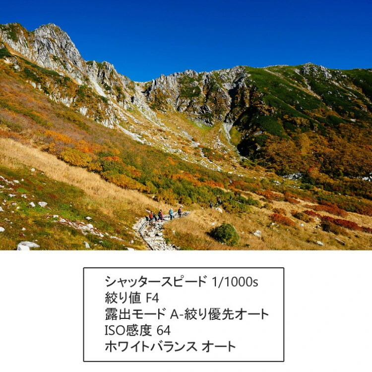商品説明画像