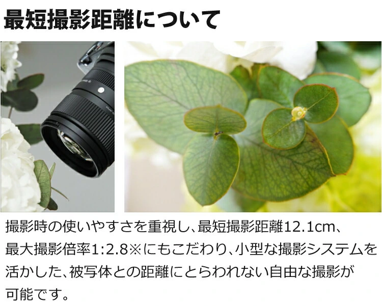 商品説明画像