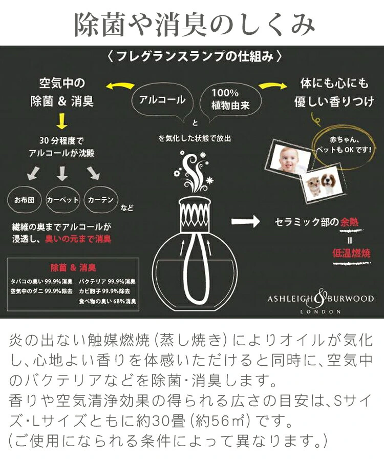 商品説明画像